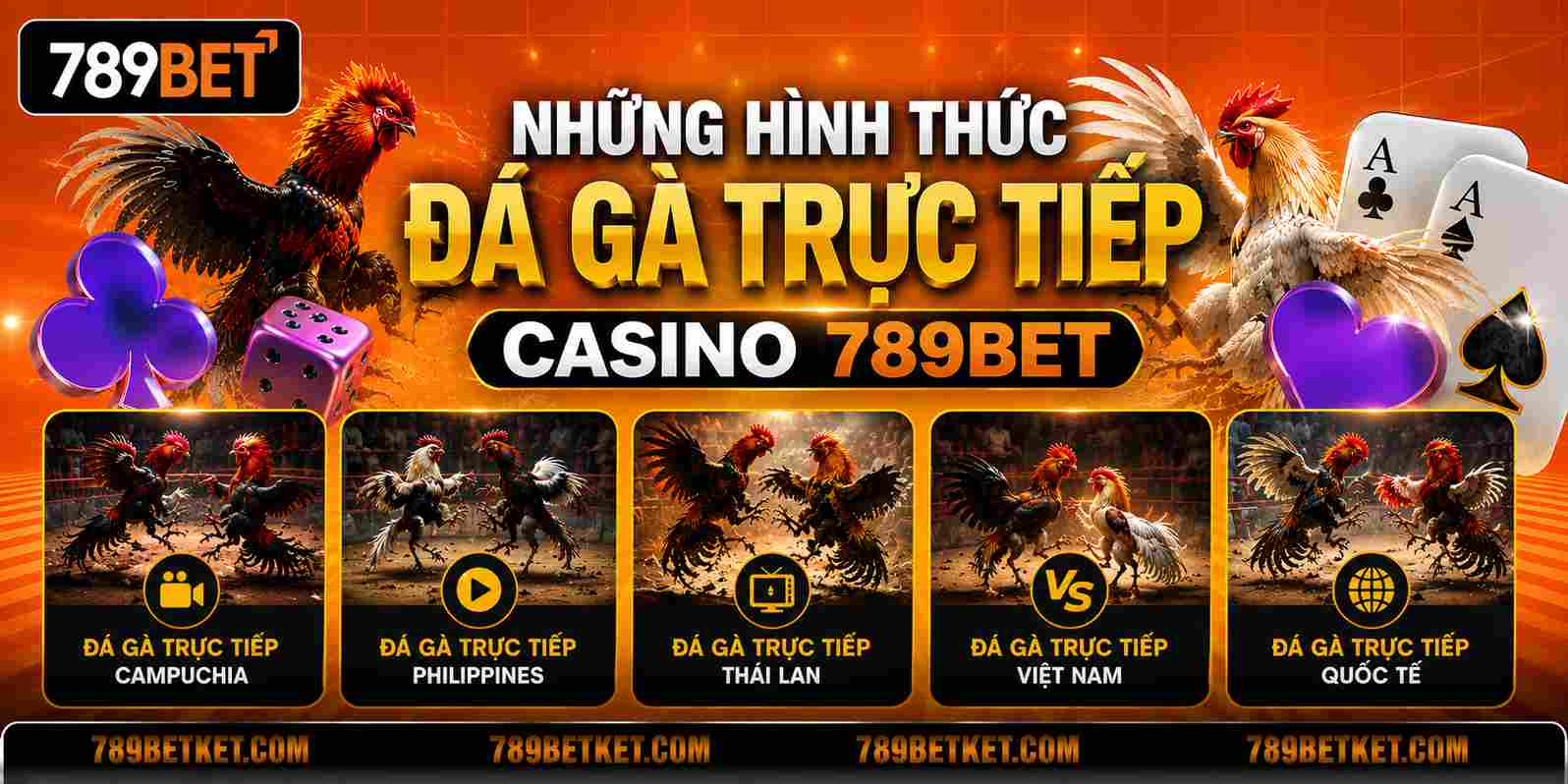 Đá Gà 789BET – Nền Tảng Phát Sóng Trực Tiếp Và Cá Cược Chuyên Nghiệp 8 Hình thức đá gà trực tiếp tại casino 789BET