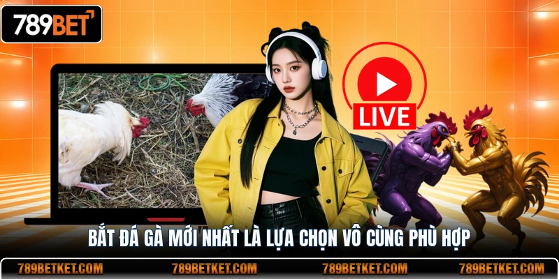 Bắt Đá Gà Mới Nhất - Trường Gà Lớn Nhất Đông Nam Á 2 Bắt đá gà mới nhất là lựa chọn vô cùng phù hợp