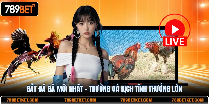 Bắt Đá Gà Mới Nhất - Trường Gà Lớn Nhất Đông Nam Á 1 Bắt đá gà mới nhất trường gà thưởng lớn